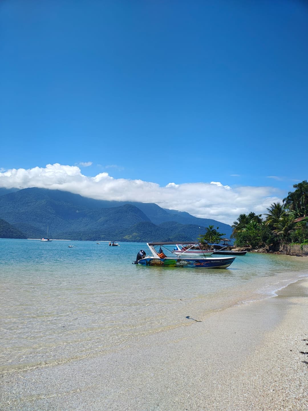Ilha do Cedro: Praia da Pitanga e Ilha do Cedro.