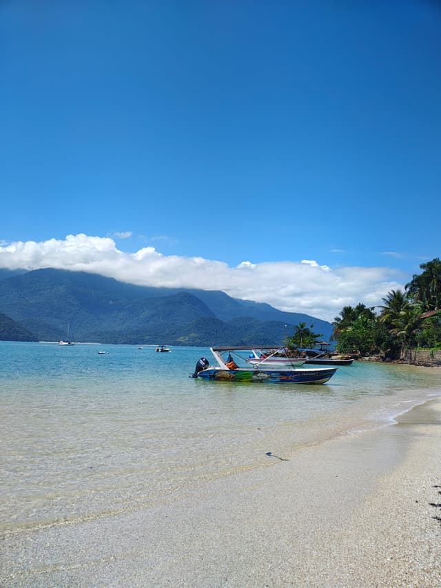 Ilha do Cedro: Praia da Pitanga e Ilha do Cedro.